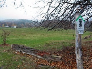 Bungalow Ilsenburg  33