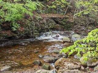 Casa per le vacanze Ilsenburg Ambiente 25