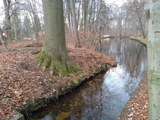 Vakantiehuis Ilsenburg Omgeving 18