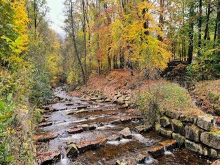 Casa per le vacanze Ilsenburg Ambiente 26