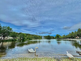 Holiday house Ilsenburg Environment 19