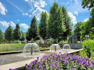 Vakantiehuis Ilsenburg Omgeving 21