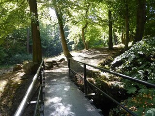 Vakantiehuis Ilsenburg Omgeving 16