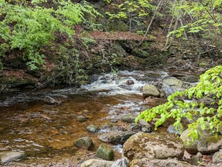 Holiday house Ilsenburg Environment 42