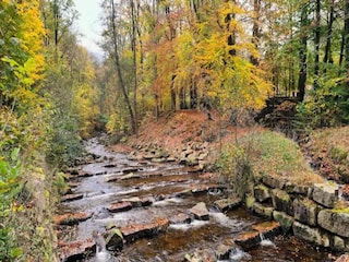 Vakantiehuis Ilsenburg Omgeving 17