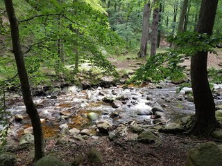 Casa per le vacanze Ilsenburg Ambiente 45
