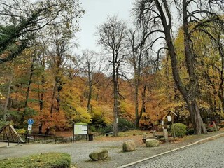 Casa de vacaciones Ilsenburg Entorno 27