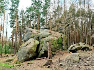 Holiday house Ilsenburg Environment 50