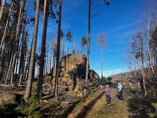Vakantiehuis Ilsenburg Omgeving 18