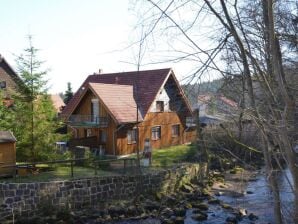 Ferienhaus Hexenstieg mit Sauna im Harz - Elend - image1
