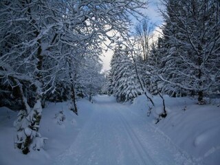 Vakantiehuis Elend Omgeving 35