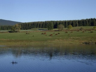Casa de vacaciones Elend Entorno 26