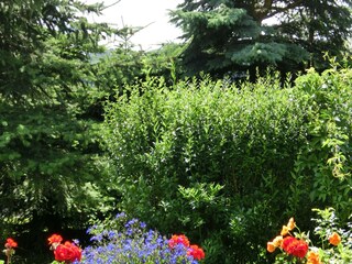 Casa per le vacanze Wienrode Registrazione all'aperto 5