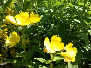 Casa de vacaciones Wienrode  28