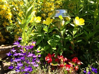 Casa de vacaciones Wienrode  29