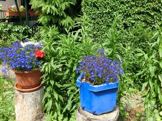 Casa per le vacanze Wienrode  28