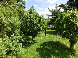 Casa per le vacanze Wienrode Registrazione all'aperto 8