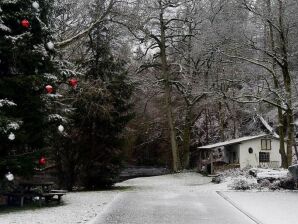 appartement in een voormalig koetshuis in het Harz - Rübeland - image1