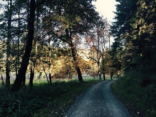 Appartamento Rübeland Ambiente 33