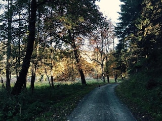 Appartement Rübeland Environnement 33