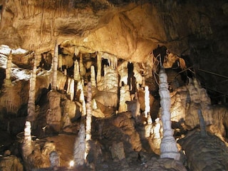 Apartment Rübeland Umgebung 35