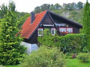 Authentiek vakantiehuis in het Harz met een weids uitzicht - Rübeland - image1