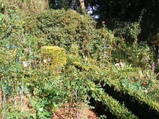 Ferienhaus Herzlake Umgebung 31