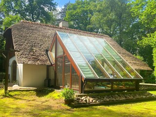 Ferienhaus Uelsen Außenaufnahme 5