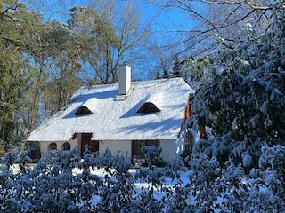 Ferienhaus Uelsen Außenaufnahme 20