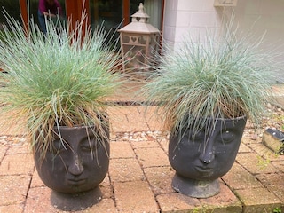 Holiday house Uelsen Outdoor Recording 14