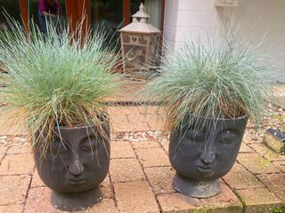 Vakantiehuis Uelsen Buitenaudio-opname 7