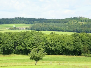 Ferienhaus Trierscheid Umgebung 32