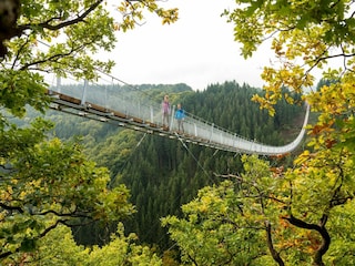 Maison de vacances Trierscheid Environnement 36