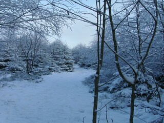 Holiday house Schuld Outdoor Recording 4