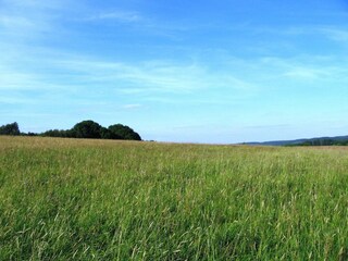 Casa de vacaciones Liebenscheid Entorno 30