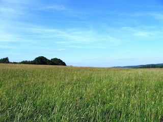 Casa per le vacanze Liebenscheid Ambiente 30
