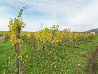 Casa per le vacanze Liebenscheid Ambiente 27