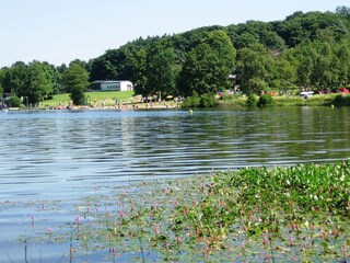 Maison de vacances Liebenscheid Environnement 18