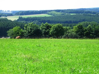 Holiday house Liebenscheid  40