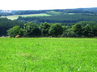 Casa per le vacanze Liebenscheid  32