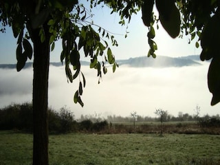 Apartamento Schleiden Entorno 29