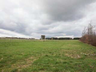 Appartement Schleiden Environnement 30