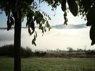 Appartement Schleiden Omgeving 31