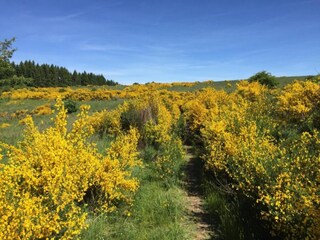 Appartement Schleiden Omgeving 34