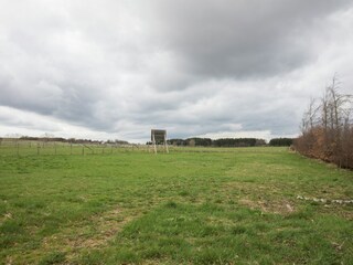 Apartment Schleiden Outdoor Recording 3