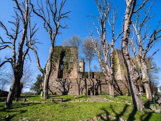 Vakantiehuis Schleiden Omgeving 26