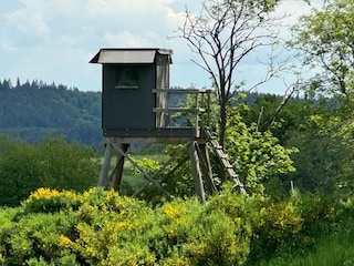 Ferienhaus Schleiden Umgebung 32