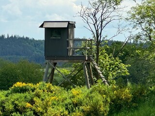 Maison de vacances Schleiden Environnement 32