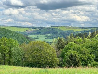 Maison de vacances Schleiden Environnement 32