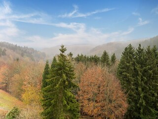 Appartement Hellenthal Enregistrement extérieur 7